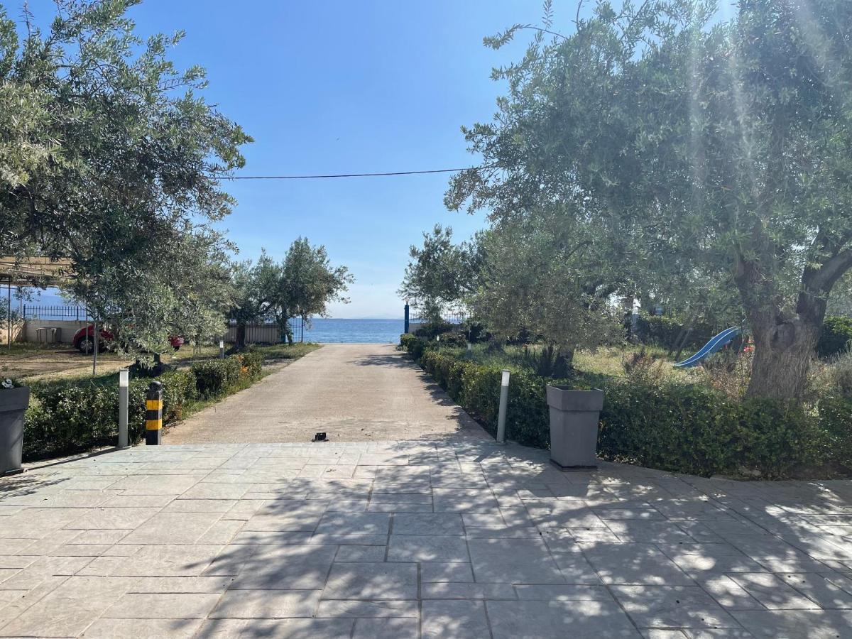 Amalfi Complex Daire Kato Almiri Dış mekan fotoğraf